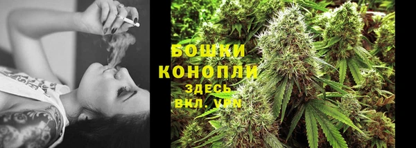 тгк Белокуриха