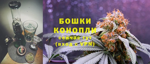 тгк Белокуриха