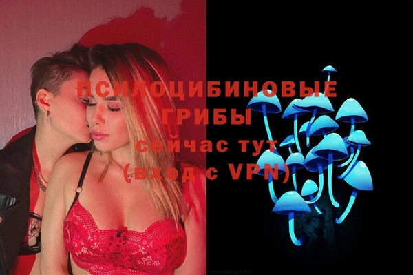 тгк Белокуриха